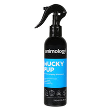 Animology Mucky Pup No Rinse Puppy Shampoo 250 ml - Kaster Cheval