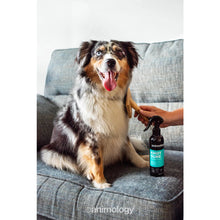 Animology Knot Sure De-Tangle Dog Spray 250 ml - Kaster Cheval