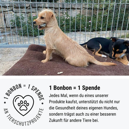 Tales & Tails Knall-Nicht-Bonbon Leckerli für Hunde