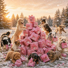 🐶 Personalisierter Hunde Adventskalender 2026 🎄