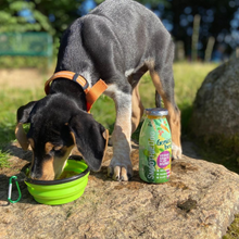 Smoothiedog Faltbarer Hundenapf
