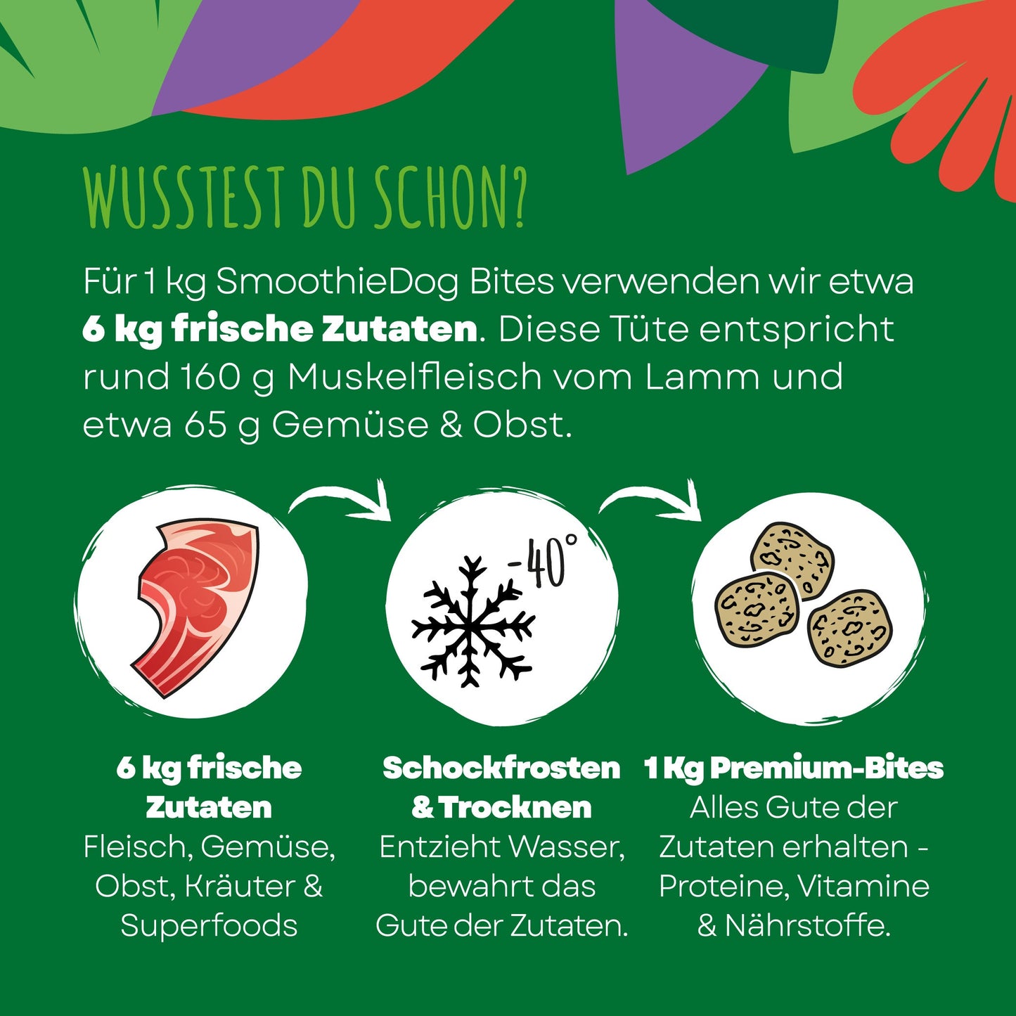 SmoothieDog Bites Lamm