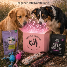 Hunde Mysterybox – Personalisierte Überraschungsbox für deinen Hund 🐶