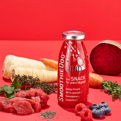 Hundesmoothie Rind