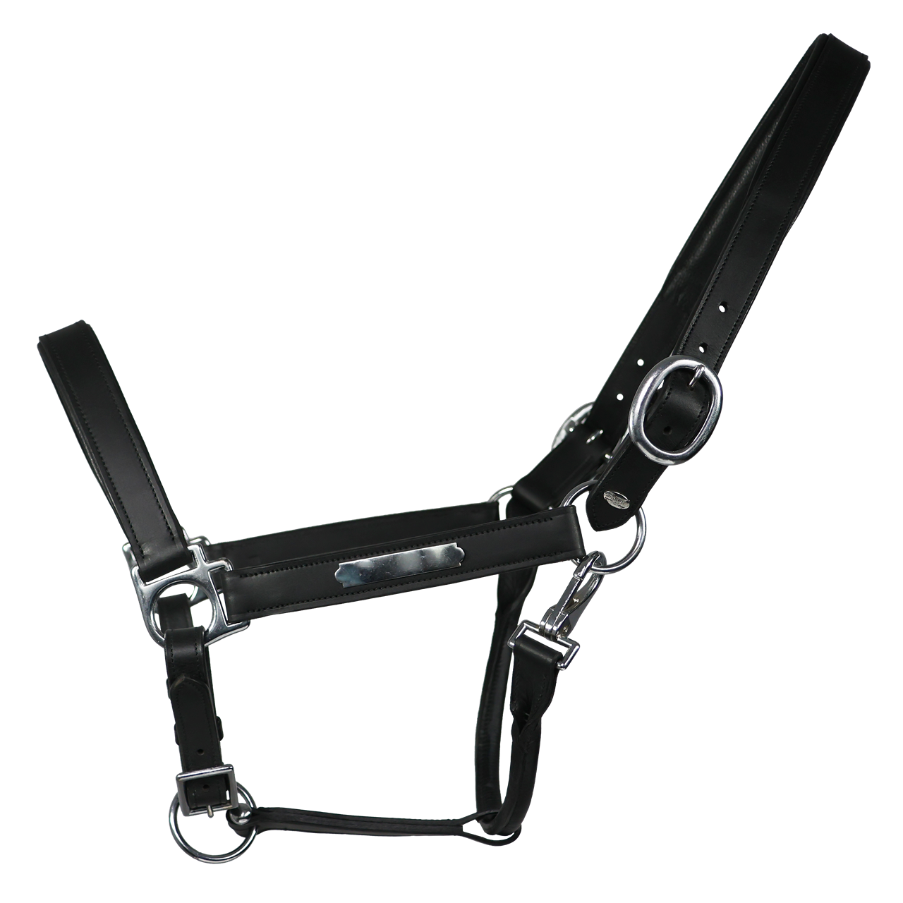 Dark Slate Gray EQUEST® Lederhalfter Inscribe