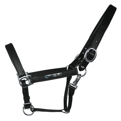 Dark Slate Gray EQUEST® Lederhalfter Inscribe