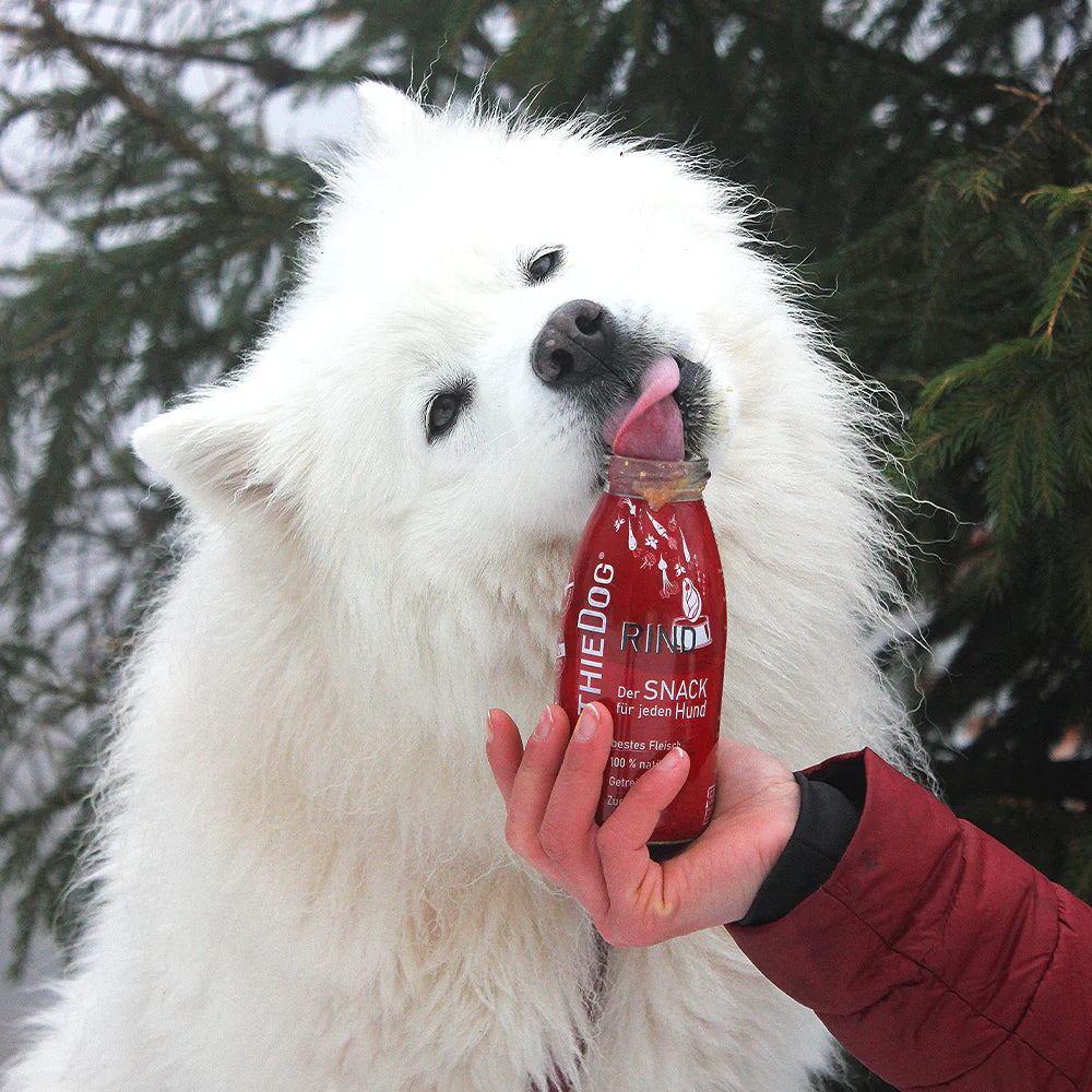 Hundesmoothie Rind