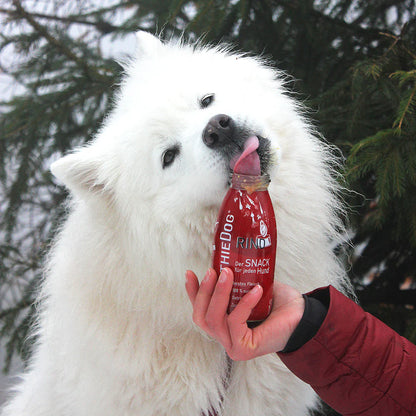 Hundesmoothie Rind
