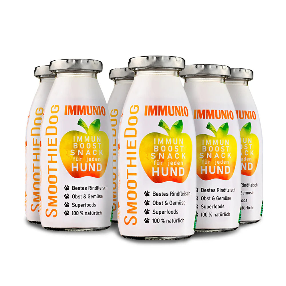 Hundesmoothie Immunio Rind