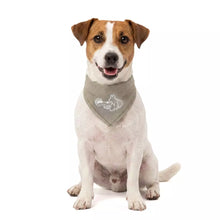 Coolpets Cooling Bandana