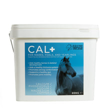 Dark Cyan Equine Products Ireland Cal+