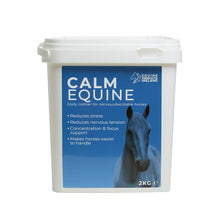 Calm Equine