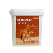 Light Gray Equine Products Ireland Copper Stud