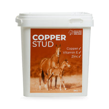 Equine Products Ireland Copper Stud