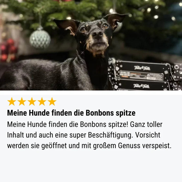 Tales & Tails Knall-Nicht-Bonbon Leckerli für Hunde