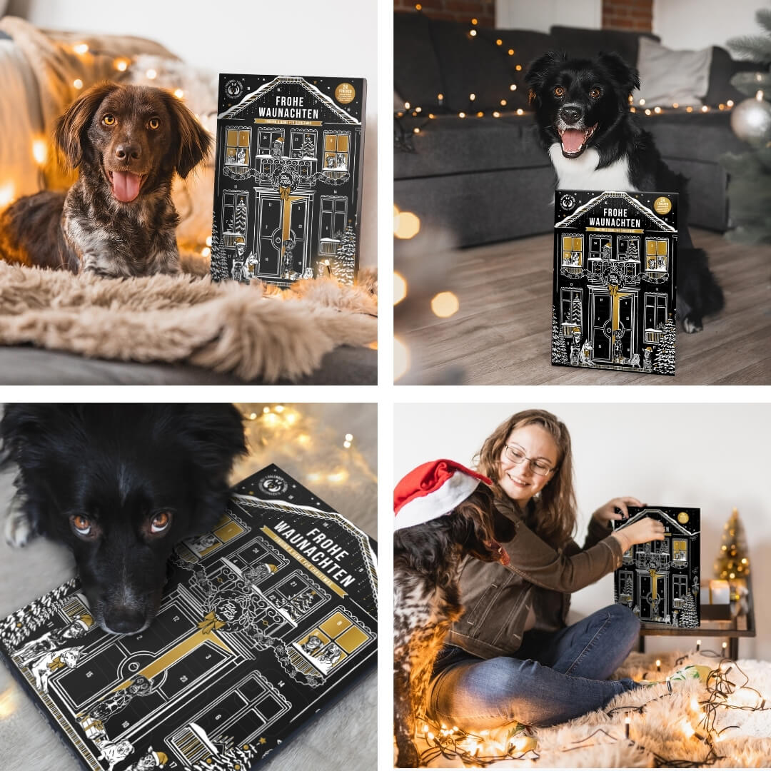 Tales & Tails Frohe Waunachten Adventskalender