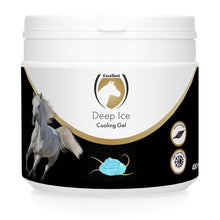 Excellent Horse Deep Ice Cooling Gel