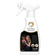 Hi Gloss Big Hug spray