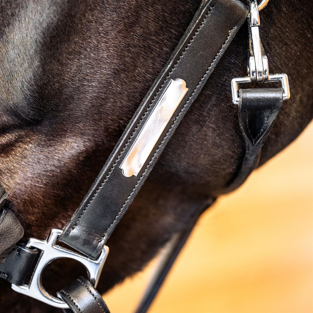 Dark Slate Gray EQUEST® Lederhalfter Inscribe