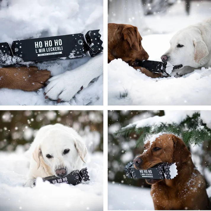 Tales & Tails Knall-Nicht-Bonbon Leckerli für Hunde