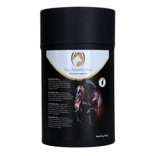 Excellent Equi Mobility Plus