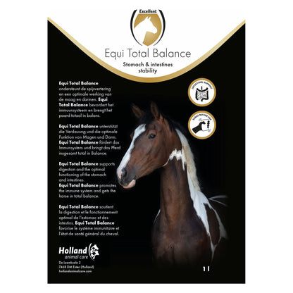 Excellent Equi Total Balance