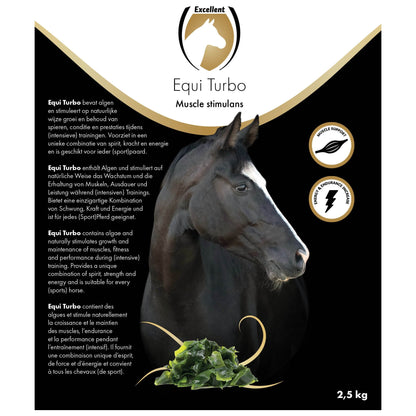 Excellent Horse Turbo
