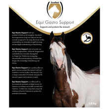 Excellent Equi Gastro Support