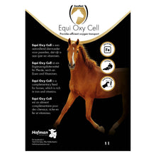Excellent Equi Oxy Cell 1 l