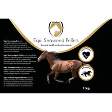 Excellent Equi Meeresalgen Pellets 1kg