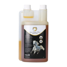 Excellent Equi Omega Boost 1L