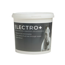 Dark Slate Gray Equine Products Ireland Electro+