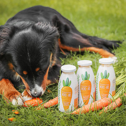 Hundesmoothie Morosche Karottensuppe