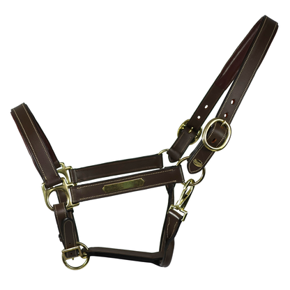 Dark Slate Gray EQUEST® Lederhalfter Inscribe