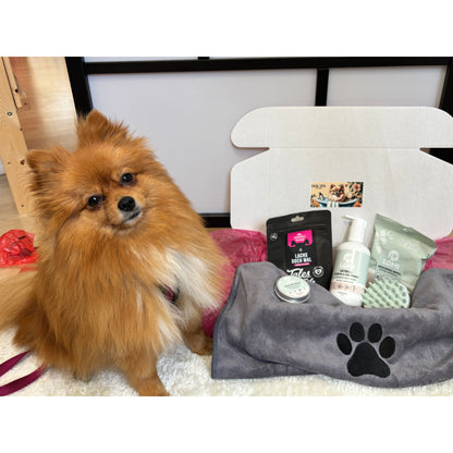 Dog Spa Geschenkbox