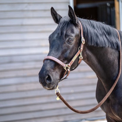 Dark Gray EQUEST® Lederhalfter Inscribe