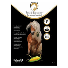 Excellent Horse Feed Booster 1 l