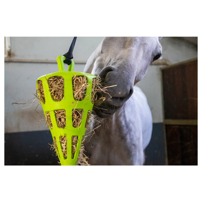 Hay Slow Feeder Fun & Flex Carrot