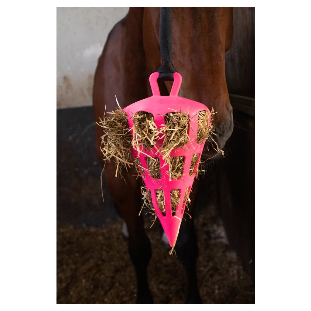 Hay Slow Feeder Fun & Flex Carrot