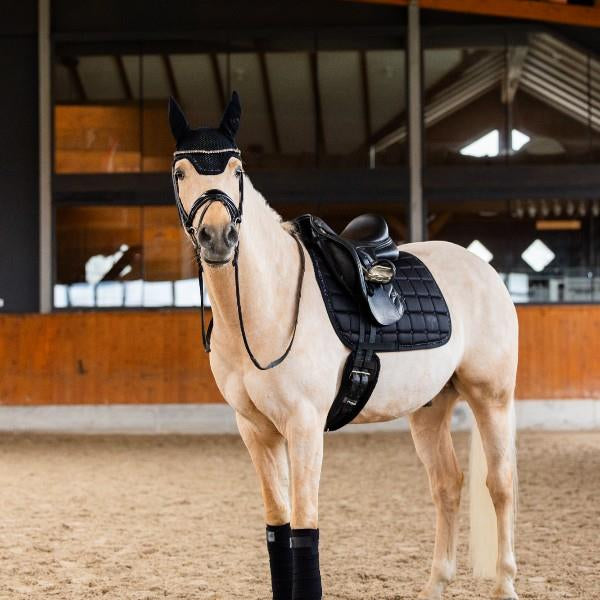 Tan EQuest Fliegenohr | Royal Glitter