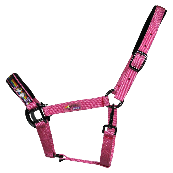 Maroon EQuest Halfter Uno Plus | Pummel & Friends Sparkle