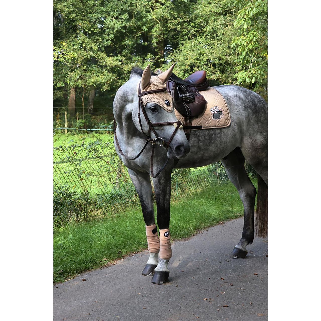 Dim Gray EQuest Schabracke Cotton Cross | Live Love Ride