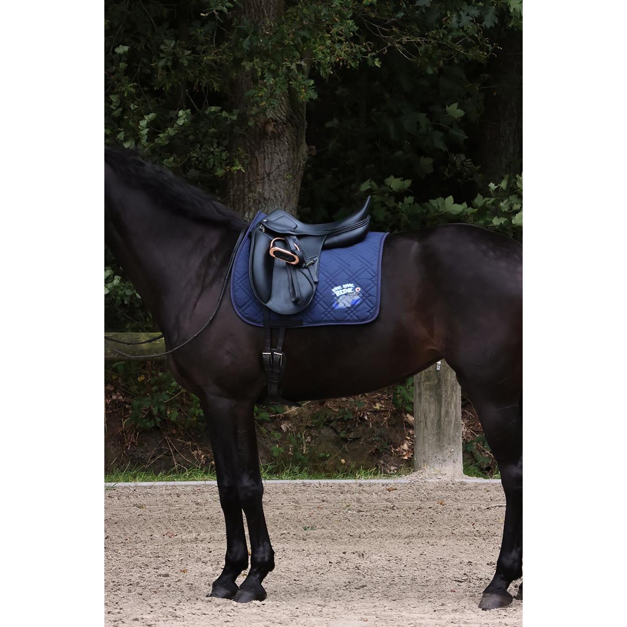 Dark Gray EQuest Schabracke Cotton Cross | Live Love Ride