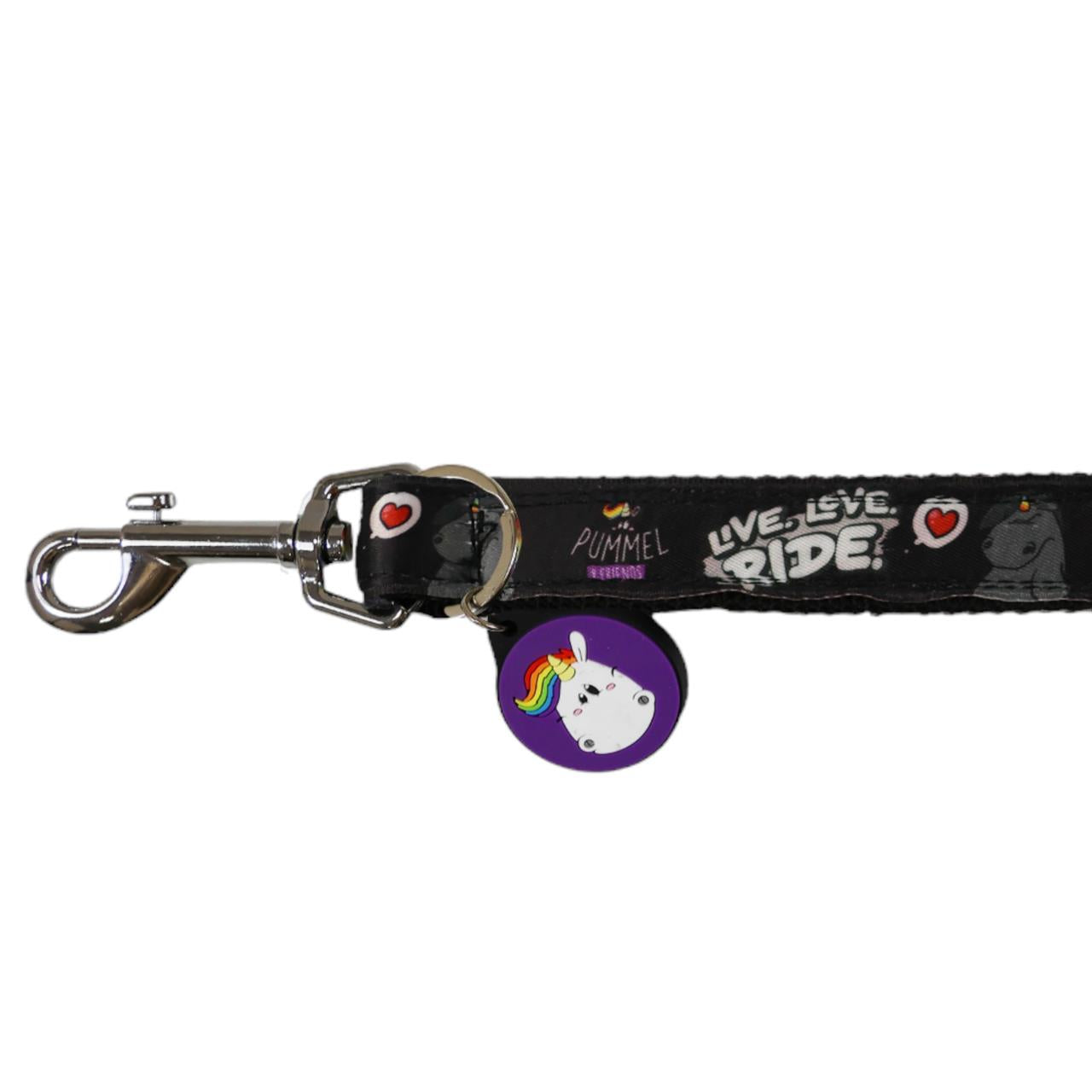 Dark Slate Gray EQuest Sattelriemen | Live Love Ride