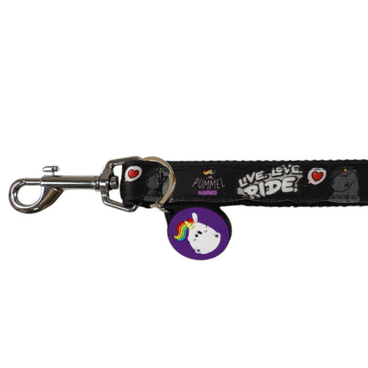 Dark Slate Gray EQuest Sattelriemen | Live Love Ride