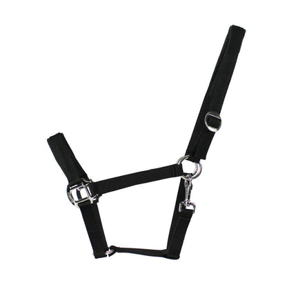 EQuest Halfter Regular Plus | NOS