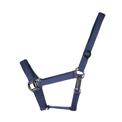 EQuest Halfter Regular Plus | NOS
