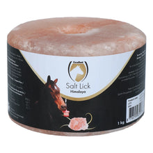 Excellent Leckstein Himalaya