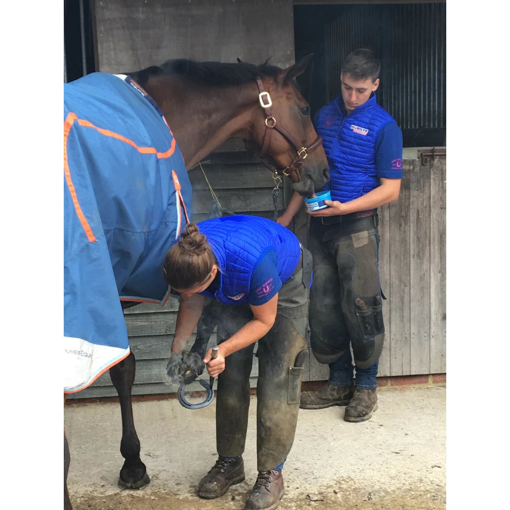 Dark Slate Gray Horslyx Mini Garlic