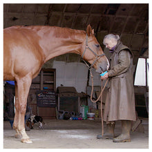 Dark Slate Gray Horslyx Mini Mint